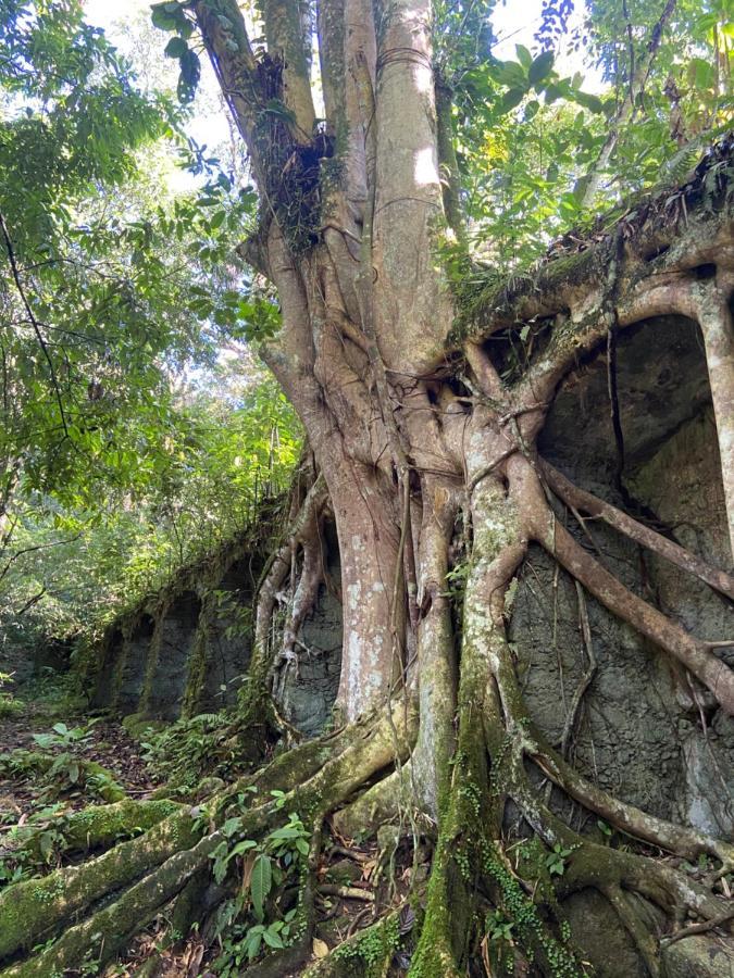 Casa Da Si Hostel Ubatuba Eksteriør bilde